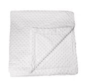 Grey Minky Dot 40X40 Plush Blanket