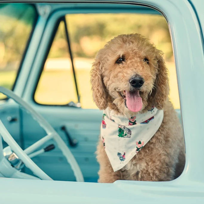 Christmas On The Farm - Pet Bandana