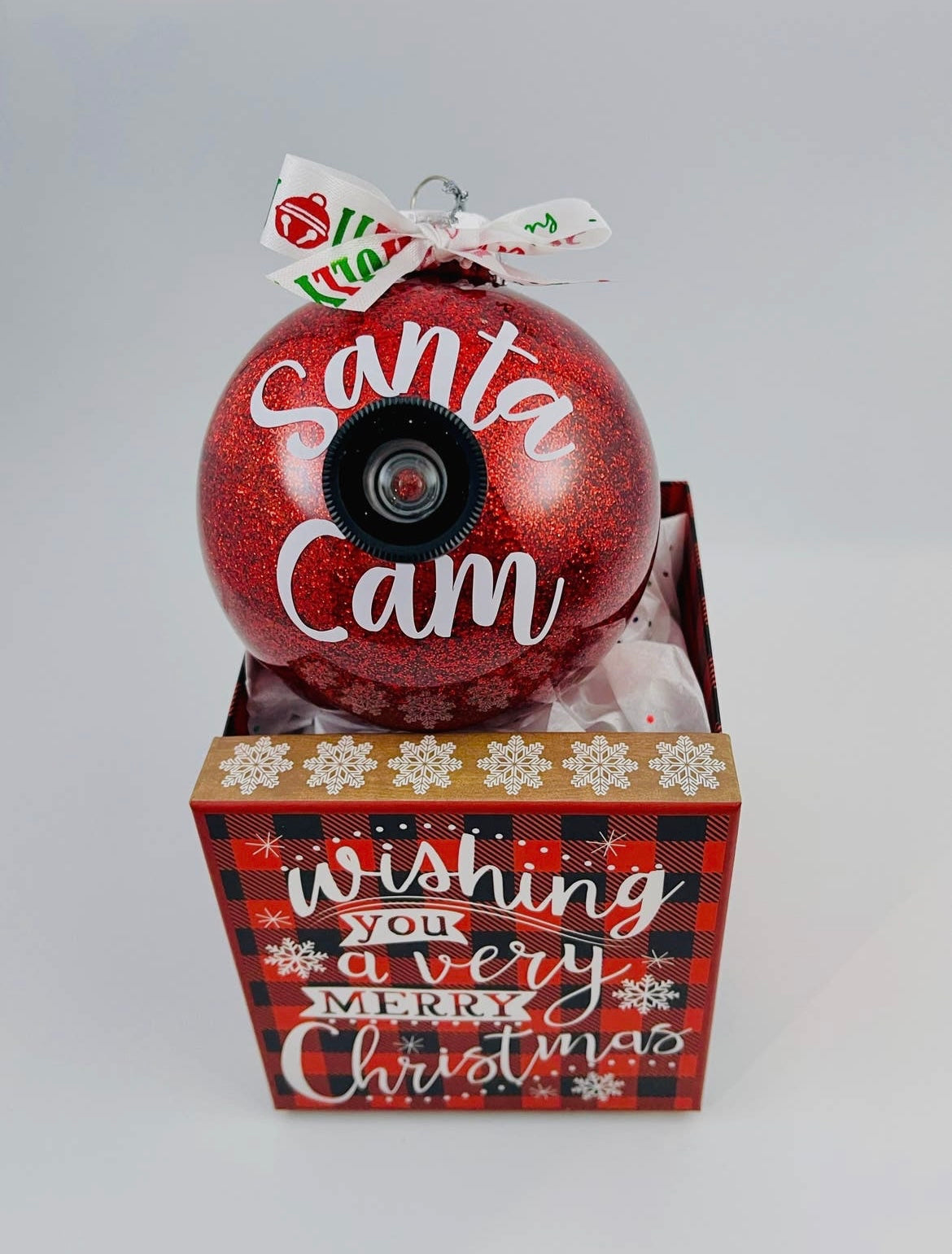 Santa Cam Ornament