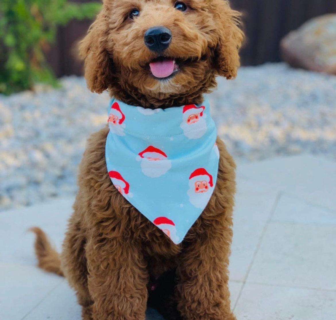 Vintage Santa - Pet Bandana